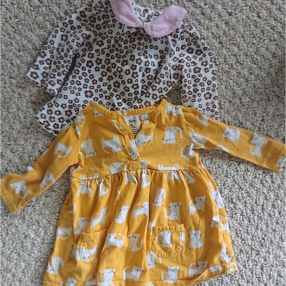 Cute yellow cat and flowers top bundle